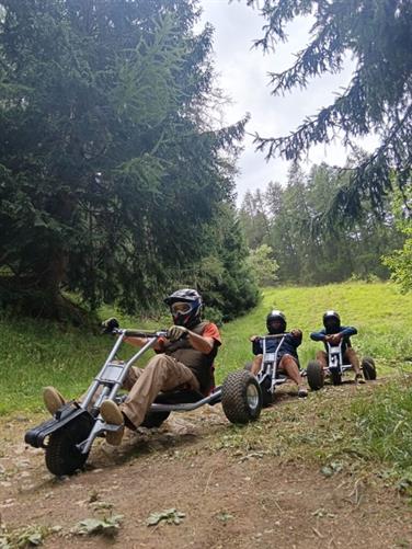 Image pour : MOUNTAIN CART